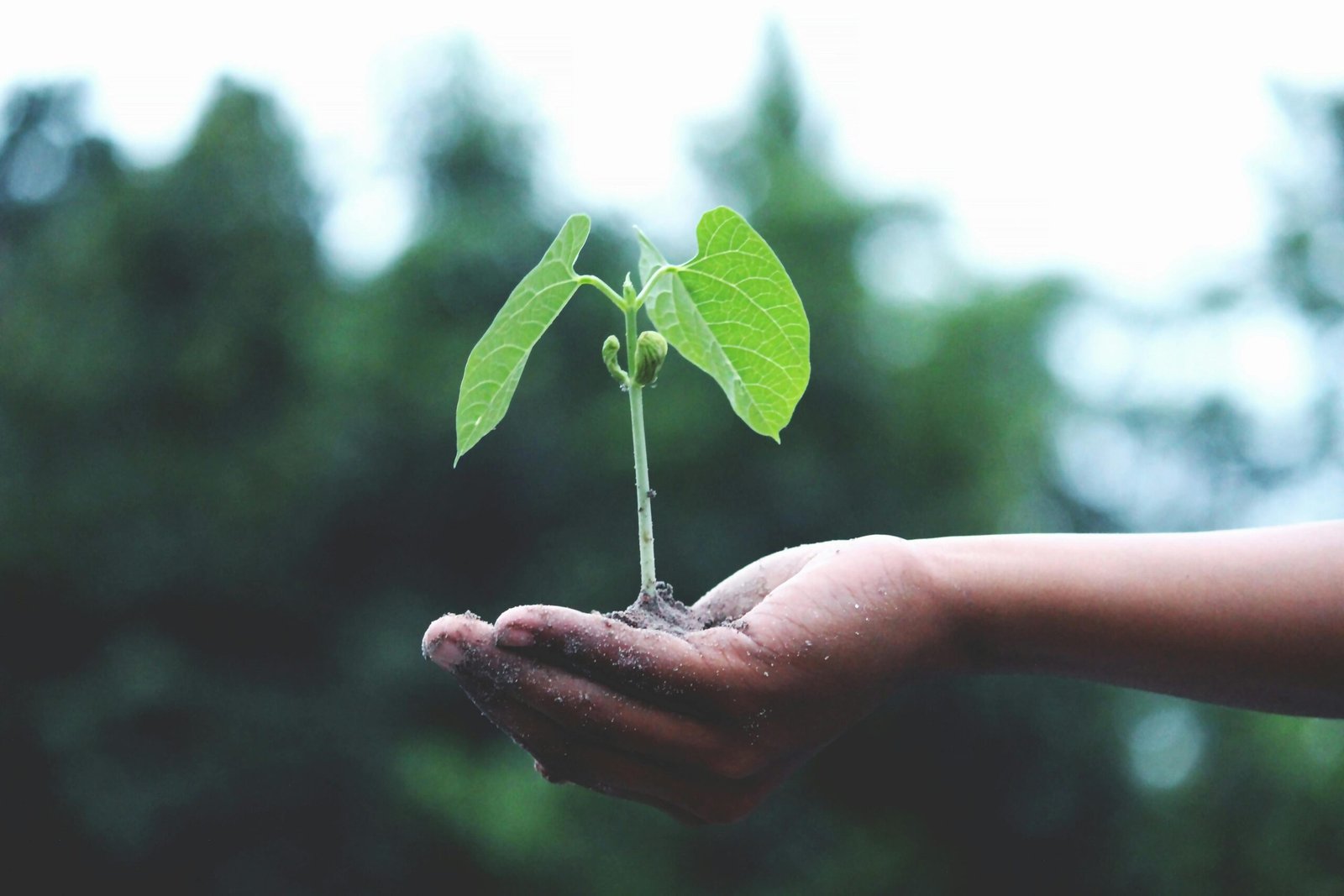 Consumidores pressionam marcas por ações climáticas reais