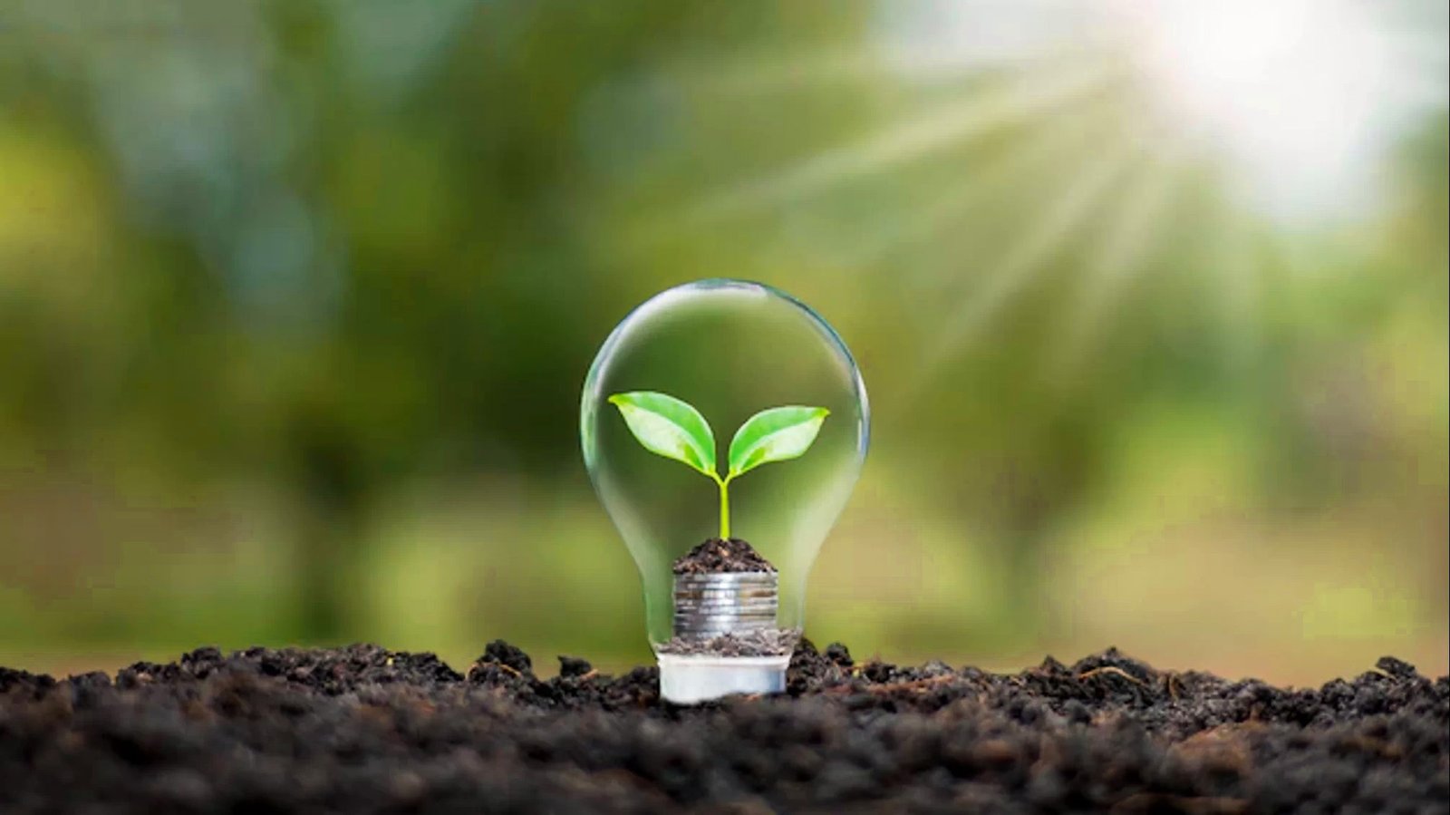 Brasil pode gerar até 760 mil empregos em bioenergia até 2030, segundo estudo